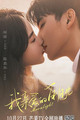 网站关键词优化的软件